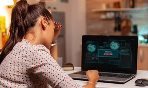 Highest Paying Remote Careers