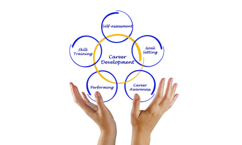 Professional Development Tips